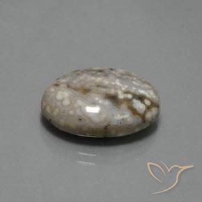 14.48克拉天然碧玉，椭圆形，不透明