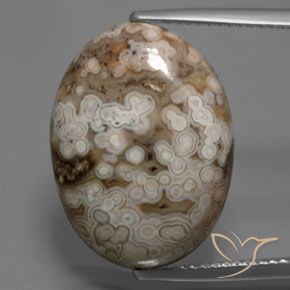 14.70ct 天然 彩色 碧玉, 椭圆形, 不透明