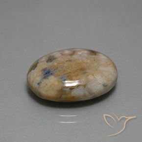 13.80克拉天然碧玉，椭圆形，不透明