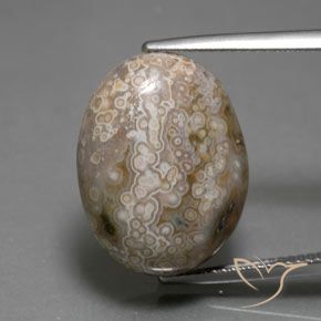 15.26ct 天然 彩色 碧玉, 椭圆形, 不透明