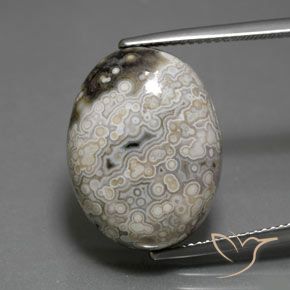 18.17ct 天然 彩色 碧玉, 椭圆形, 不透明