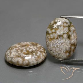 25.62ctw 天然 彩色 碧玉, 椭圆形, 不透明