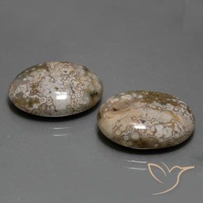 25.60克拉天然碧玉，椭圆形，不透明