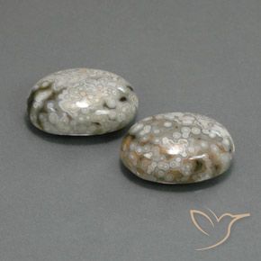 23.48克拉天然碧玉，椭圆形，不透明