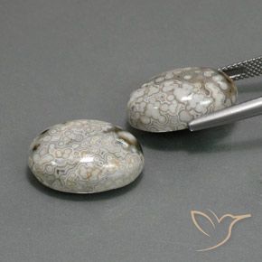 23.48克拉天然碧玉，椭圆形，不透明