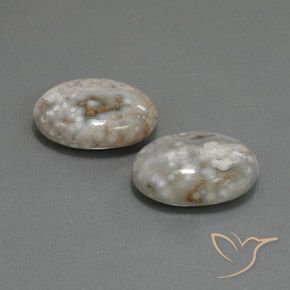 18.63克拉天然碧玉，椭圆形，不透明