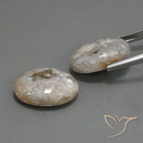 18.63克拉天然碧玉，椭圆形，不透明