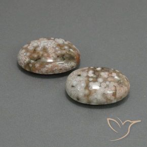 19.64克拉天然碧玉，椭圆形，不透明