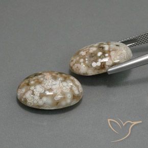 19.64克拉天然碧玉，椭圆形，不透明