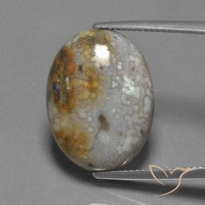 13.45ct 天然 彩色 碧玉, 椭圆形, 不透明