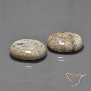27.89克拉天然碧玉，椭圆形，不透明