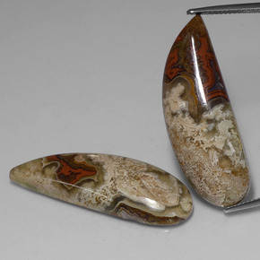 天然多色碧玉，异形，36.2×12.9毫米，不透明