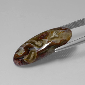 13.46克拉天然碧玉，椭圆形切割，不透明