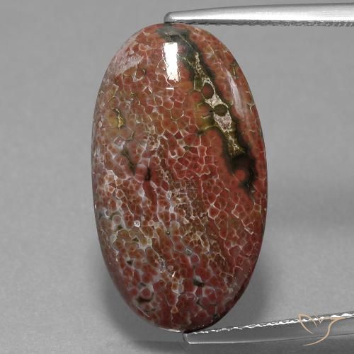 9.98ct 天然 彩色 碧玉, 椭圆形, 不透明