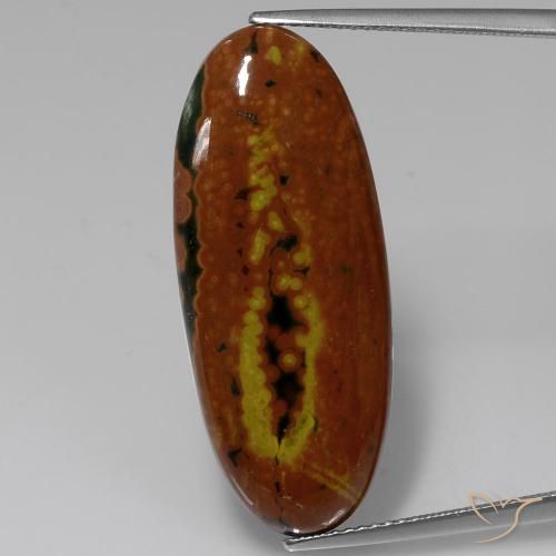16.54ct 天然 彩色 碧玉, 椭圆形, 不透明