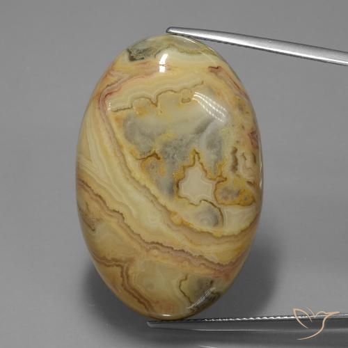 56.29ct 天然 彩色 碧玉, 椭圆形, 不透明