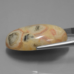 62.14克拉天然碧玉，椭圆形切割，不透明