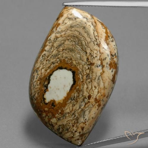 47.70ct 天然 彩色 碧玉, 花式切割, 不透明