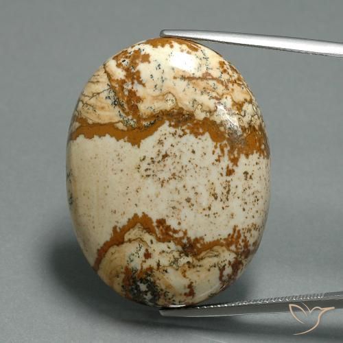 43.57ct 天然 彩色 碧玉, 椭圆形, 不透明
