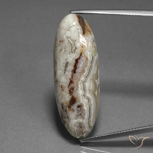 23.27ct 天然 彩色 碧玉, 椭圆形, 不透明
