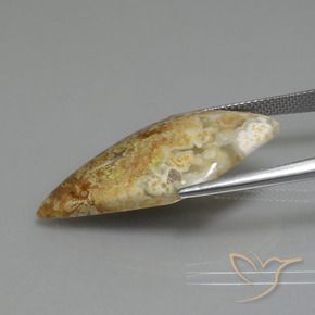 14.89克拉天然碧玉，花式切割，不透明
