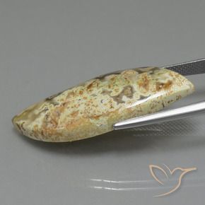 18.71克拉天然碧玉，花式切割，不透明