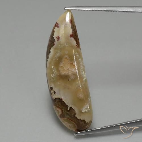 14.43ct 天然 彩色 碧玉, 花式切割, 不透明