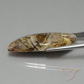 22.13克拉天然碧玉，花式切割，不透明