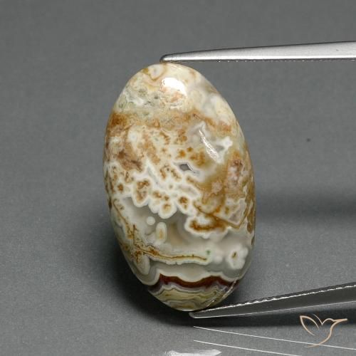 14.29ct 天然 彩色 碧玉, 椭圆形, 不透明