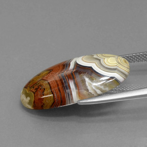 13.94克拉天然碧玉，椭圆形切割，不透明