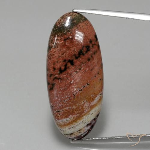15.75ct 天然 彩色 碧玉, 椭圆形, 不透明