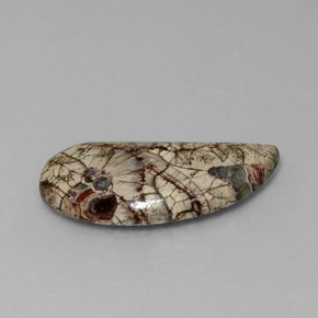 8.64克拉天然碧玉，异形，不透明