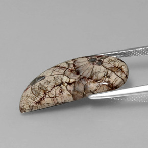 8.64克拉天然碧玉，异形，不透明