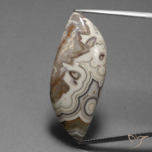 19.50ct 天然 彩色 碧玉, 花式切割, 不透明