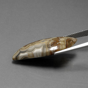 15.18克拉天然碧玉，异形，不透明