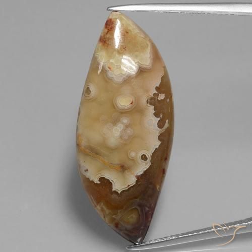 17.69ct 天然 彩色 碧玉, 花式切割, 不透明