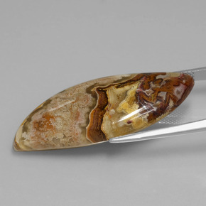 24.71克拉天然碧玉，异形，不透明