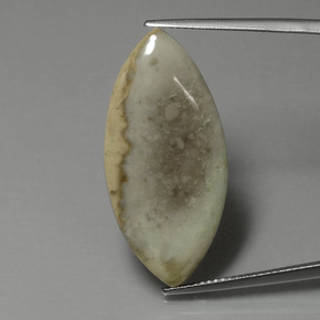 15.89克拉天然碧玉，榄尖形，不透明