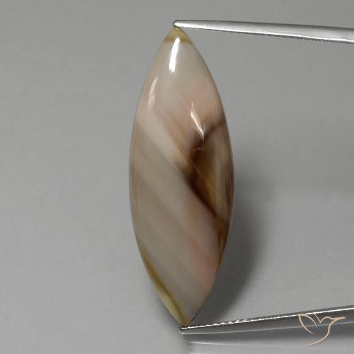 13.74ct 天然 彩色 碧玉, 榄尖形, 不透明