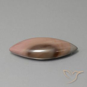 13.77克拉天然碧玉，榄尖形，不透明