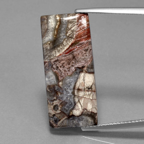 12.20克拉天然碧玉，狭长方形，不透明