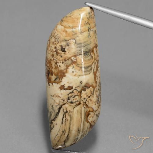 27.33ct 天然 彩色 碧玉, 花式切割, 不透明