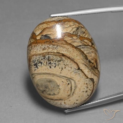 48.37ct 天然 彩色 碧玉, 椭圆形, 不透明, Photo A