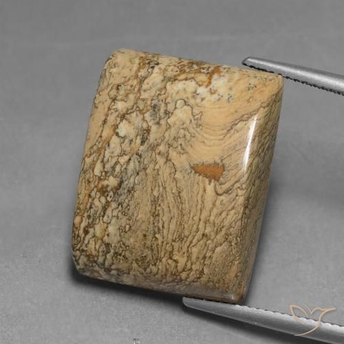 28.04ct 天然 彩色 碧玉, 狭长方形, 不透明