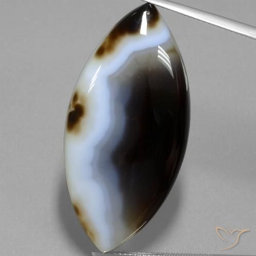 49.54ct 天然 彩色 碧玉, 榄尖形, 半透明