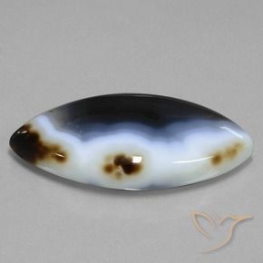 49.54克拉天然碧玉，榄尖形，半透明