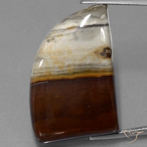 40.76ct 天然 彩色 碧玉, 花式切割, 不透明
