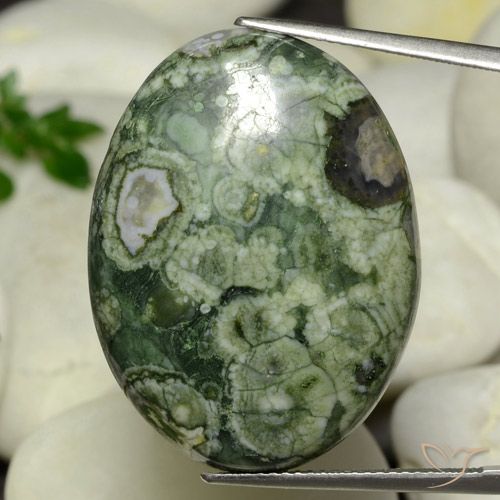 24.95ct 天然 彩色 碧玉, 椭圆形, 不透明