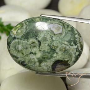 24.95克拉天然碧玉，椭圆形，不透明