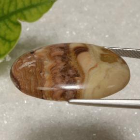 21.62克拉天然碧玉，椭圆形切割，不透明